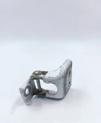 Renault Kangoo II Front door lower hinge 115113502