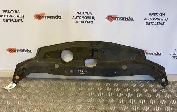 Engine bonnet/hood lock trim molding