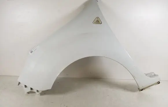Renault Kangoo II Fender 631010288R