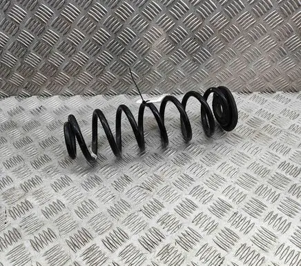 Rear coil spring