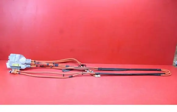 Tesla Model S Other wiring loom 1098000-00-E