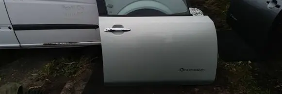 Nissan Leaf II (ZE1) Front door