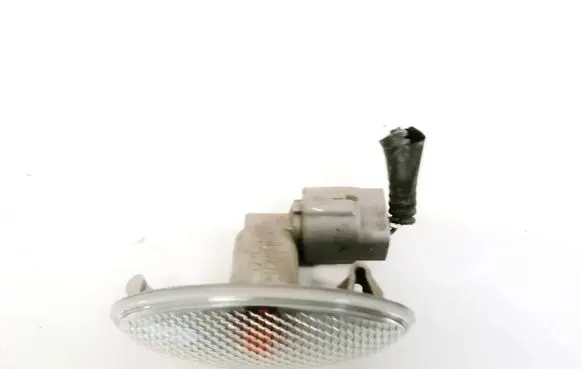Front fender indicator light
