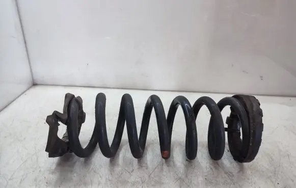 Rear coil spring