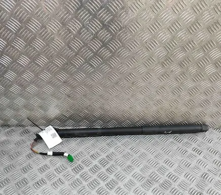 Peugeot 408 II Tailgate/trunk strut/damper 9841612980