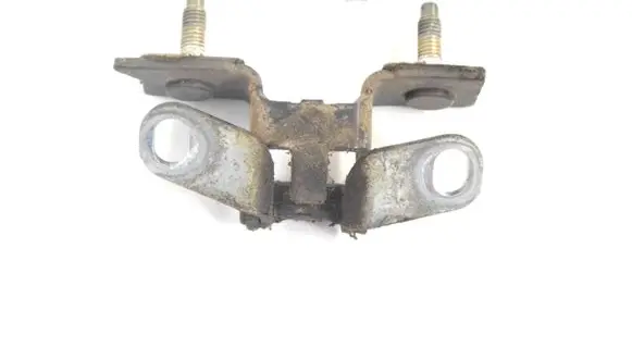 Tailgate/trunk/boot hinge