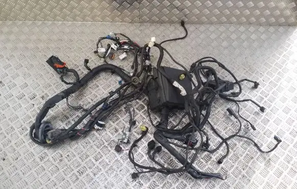 Peugeot 4007 Other wiring loom