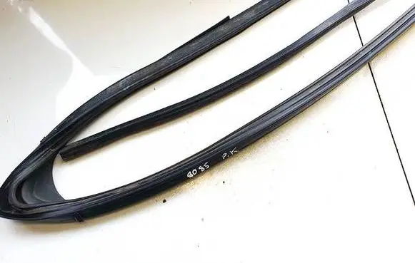 Renault Zoe Rubber seal front coupe door 