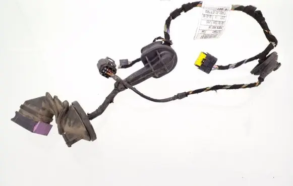 Rear door wiring loom