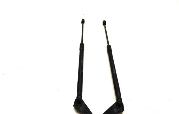 Tailgate strut
