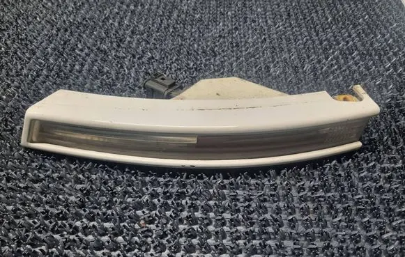 Volkswagen PASSAT B6 Front indicator light 3C0807717