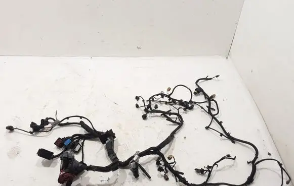 Engine installation wiring loom