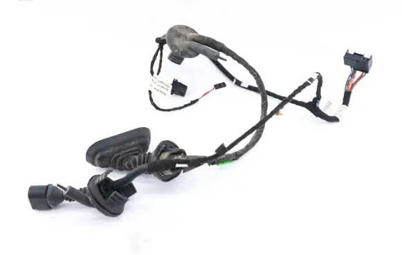 Audi A6 Allroad C6 Rear door wiring loom 4F1971687N