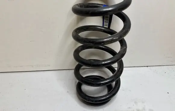 Dodge Challenger Rear coil spring 05181903AC 25591F