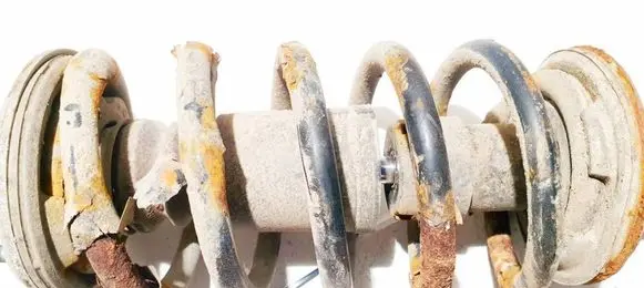 Volkswagen PASSAT B5.5 Front coil spring