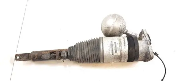 Volkswagen Phaeton Shock absorber/damper/air suspension 3D0616001F