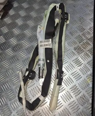 Citroen C4 Cactus Roof airbag 9804358980 0311868W