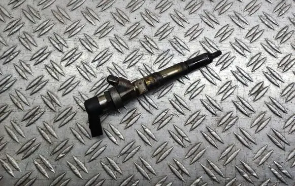 Nissan Qashqai+2 Fuel injector H8200704191