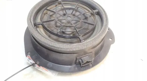 Front door speaker