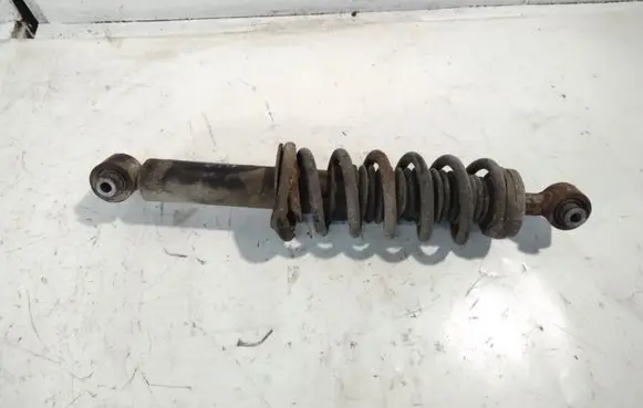 Peugeot 407 Rear shock absorber with coil spring 