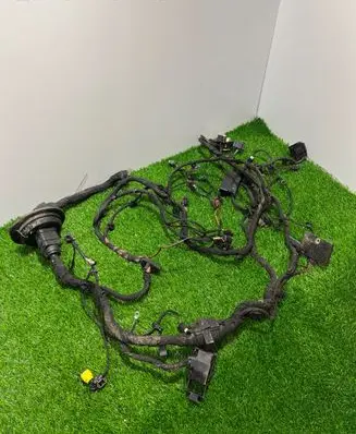 BMW X5 G05 Wiring harness 
