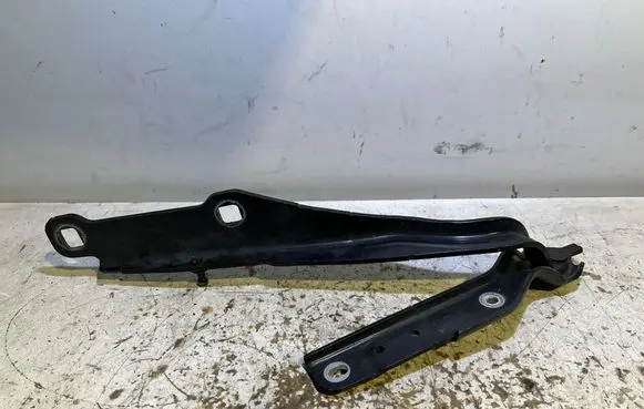 Dodge Charger Engine bonnet/hood hinges 55113550AG