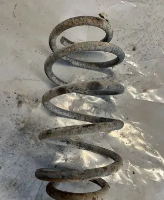 Rear coil spring