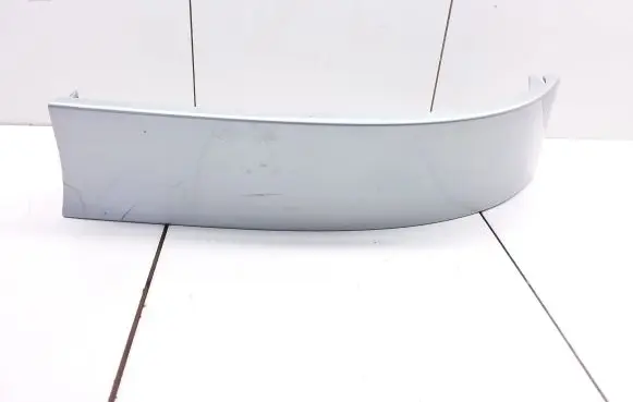 Rear/tail light trim molding