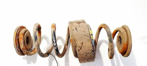 Volkswagen PASSAT B6 Rear coil spring 