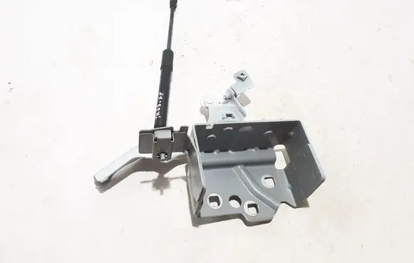 Renault Trafic III (X82) Engine bonnet/hood hinges 654010776R