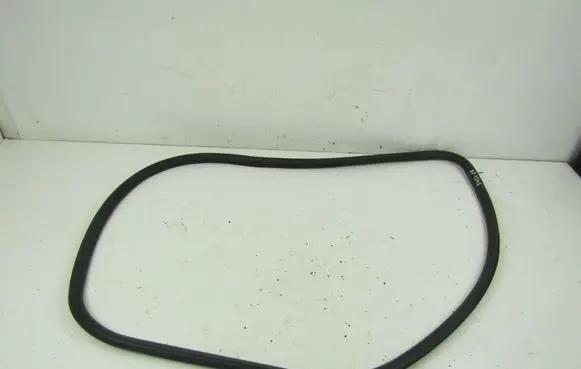 Opel Insignia A Front door rubber seal 