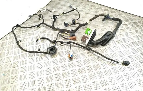 Peugeot 508 II Front door wiring loom 9822491280