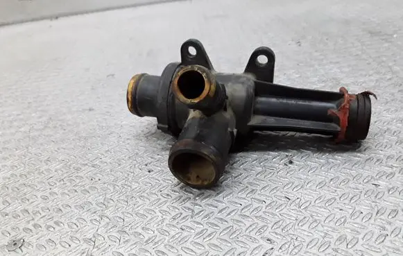 Thermostat/thermostat housing