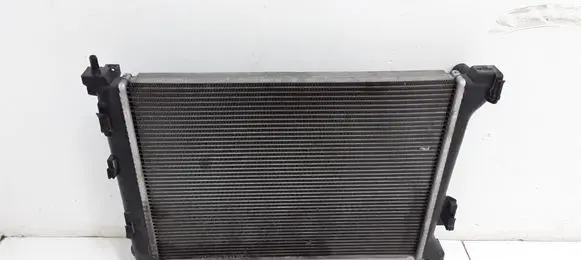 Hyundai i20 (PB PBT) Coolant radiator 0004735