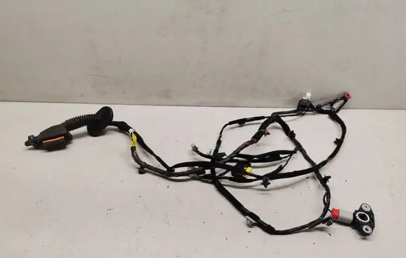 Hyundai Kona I Front door wiring loom 91981J9030