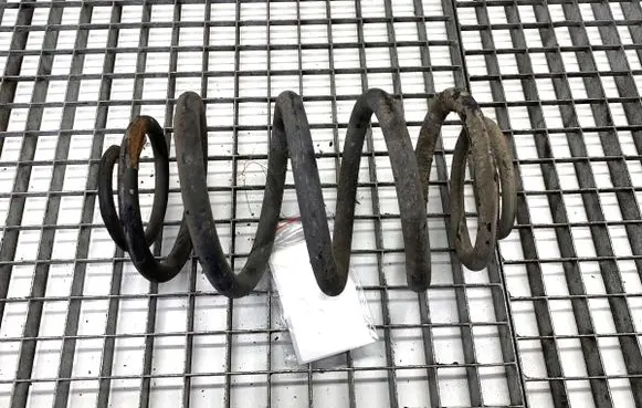Renault Trafic III (X82) Rear coil spring 