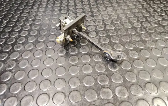 Citroen C4 II Front door check strap stopper