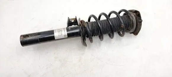 Volkswagen PASSAT B7 Front shock absorber/damper 317575 225008629