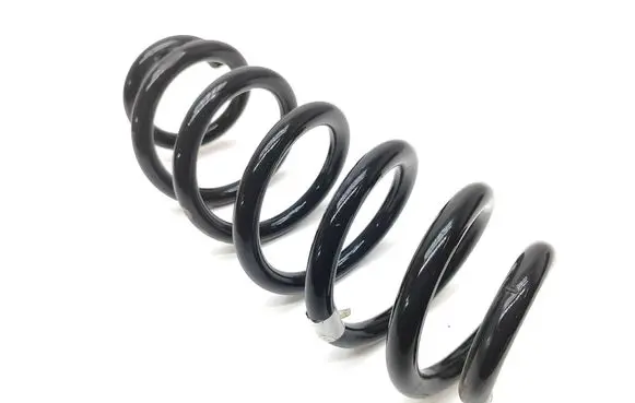 Rear coil spring