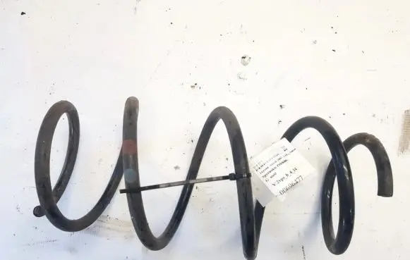 Front coil spring