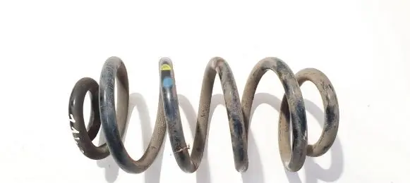 Renault Zoe Rear coil spring