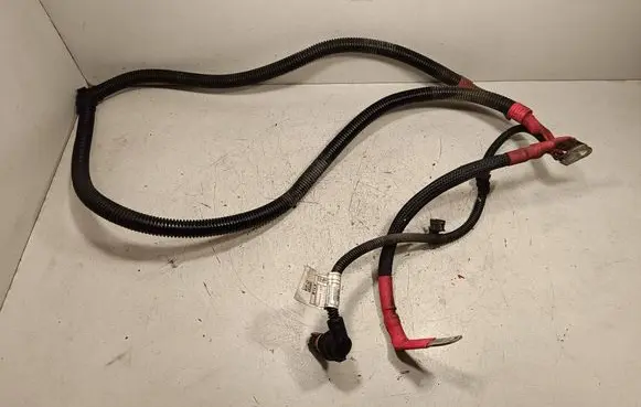 BMW X5 E70 Positive cable (battery) 780016603