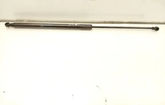 Tailgate/trunk strut/damper