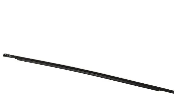 Rear door glass trim molding
