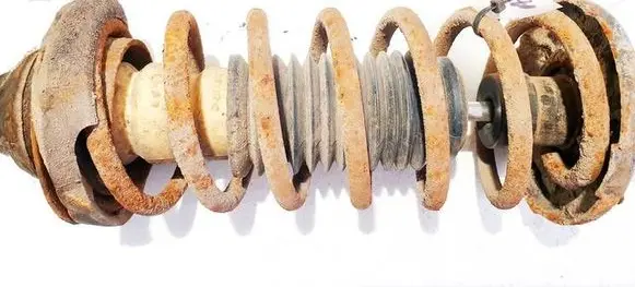Rear coil spring