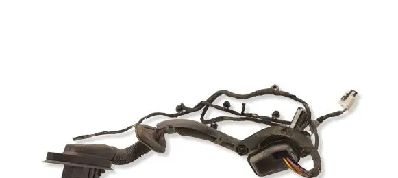 BMW 7 E65 E66 Rear door wiring loom 13318810
