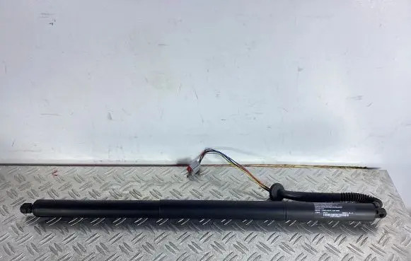 Tailgate/trunk strut/damper