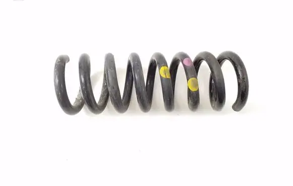 Rear coil spring
