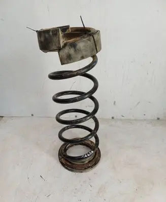 Rear coil spring