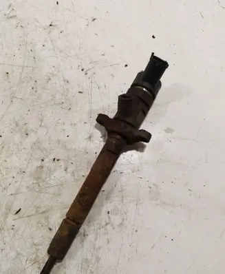 Volvo C30 Fuel injector 0445110259